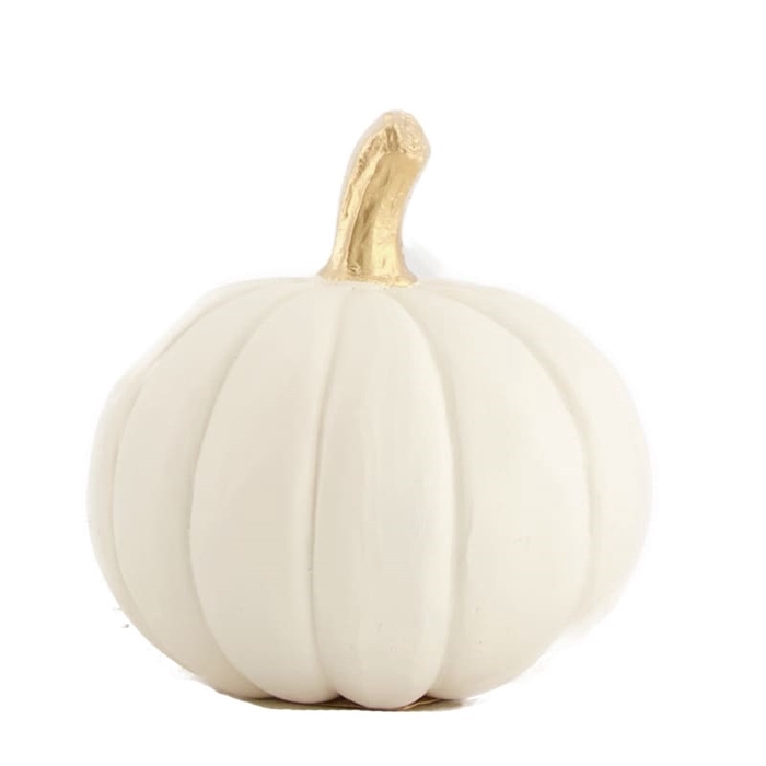 <h4>Homedeco Pumpkin d10*11cm</h4>