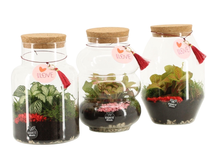 <h4>21815: Lovess terrarium</h4>
