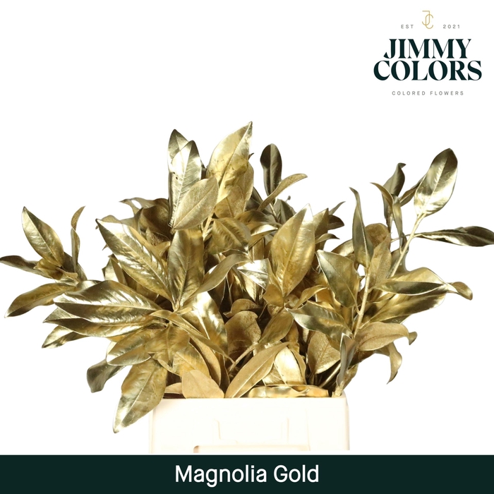 <h4>Magnoliablad Gold</h4>
