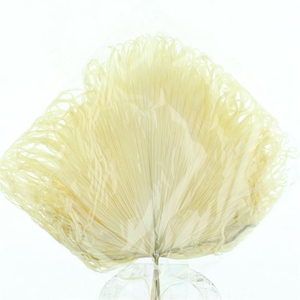 Pres Anahaw Leaves Bleached White P Bnch