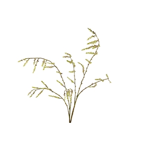 Willow Branch Green