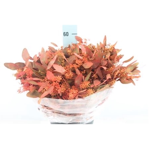 Euca Populus Bes Klb Herfst 250 Gram