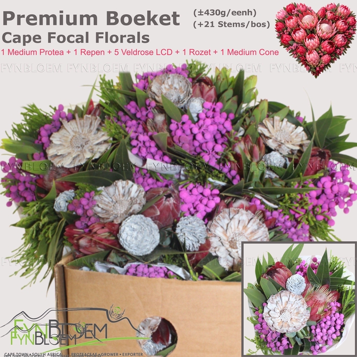 <h4>PROTEA PER BOS</h4>