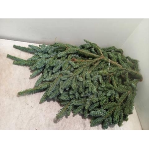 ABIES NOB BLAUW KILO