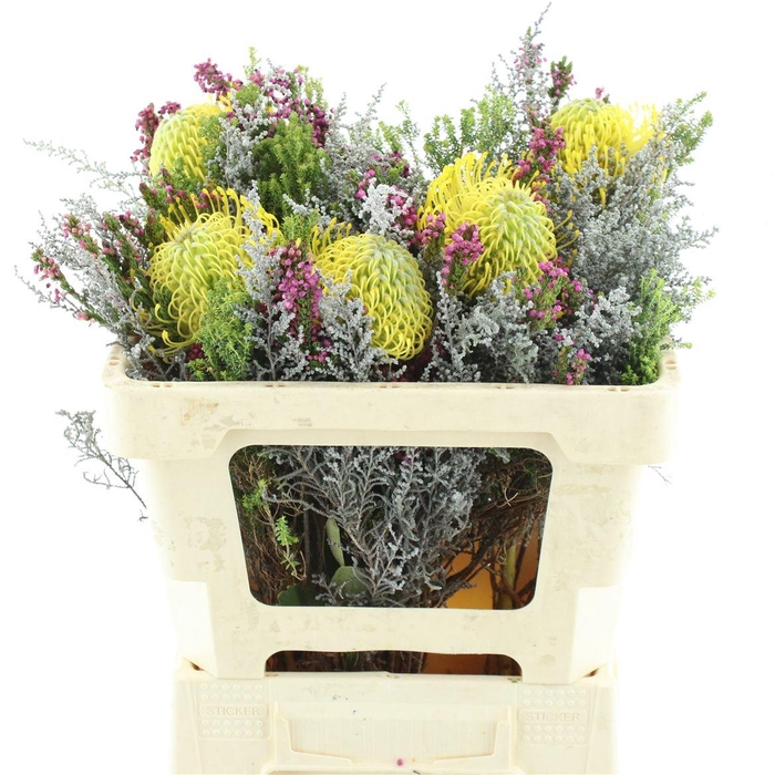 Kaaps Bouquet Pincushion Single