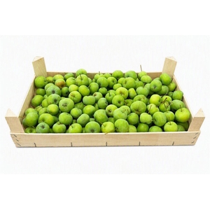 Sier Malusappel Flat Green P Box