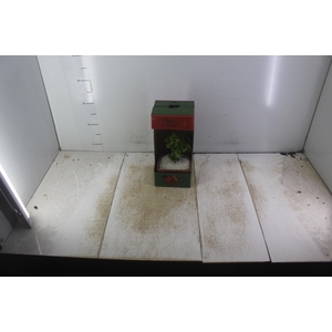 BONSAI JUNIOR VASO PLASTICO 1.1L