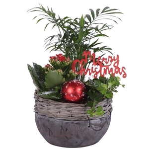Christmas Arr. Indoor Willow Basket Ceramic Bottom Ø18cm 3PP