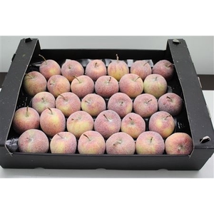 Waxappel Glitter Natuur
