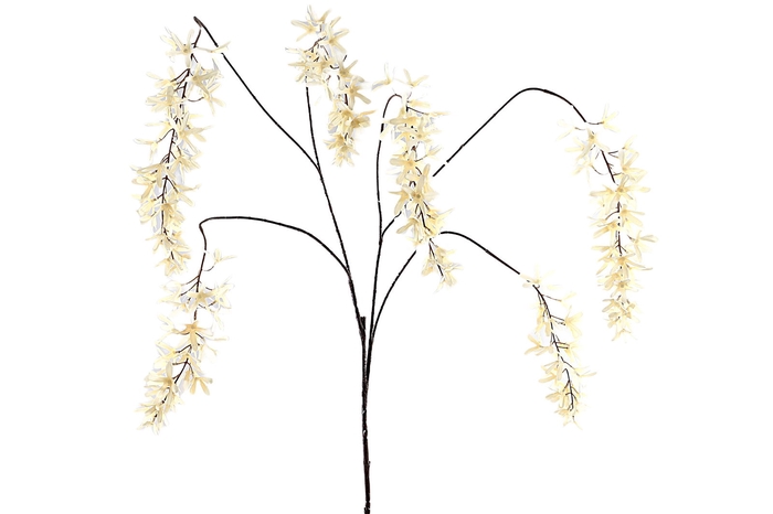 <h4>Lilium Hanging Spray Beige</h4>