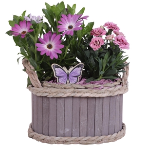 Spring Flower Arr. Outdoor Wooden Pot Oval Ø22cm 2PP