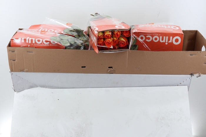 <h4>R Gr High & Magic Box CO</h4>
