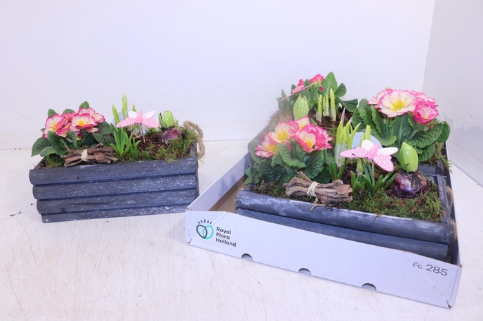 <h4>ARR TUINPLANTEN</h4>