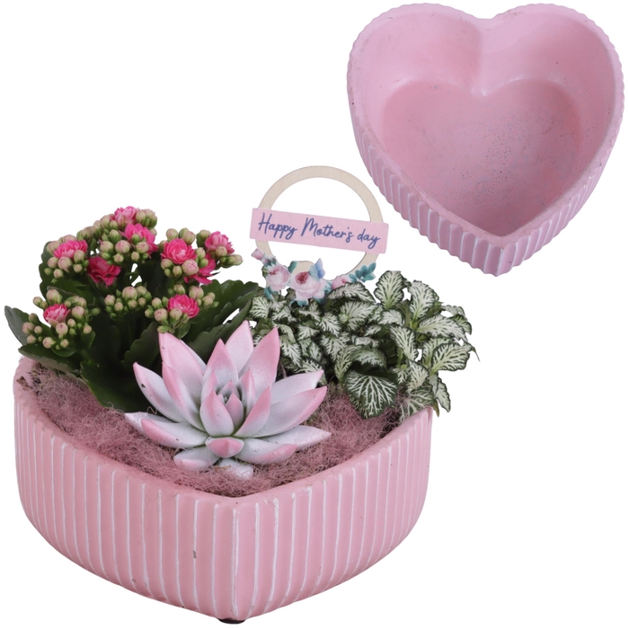 <h4>Mothersday Arr. Indoor Ceramic Heart Bowl Ribbles Ø21cm 3PP</h4>