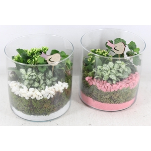 arr2 PL - Glas cilin. breed 285/5 - roze/wit