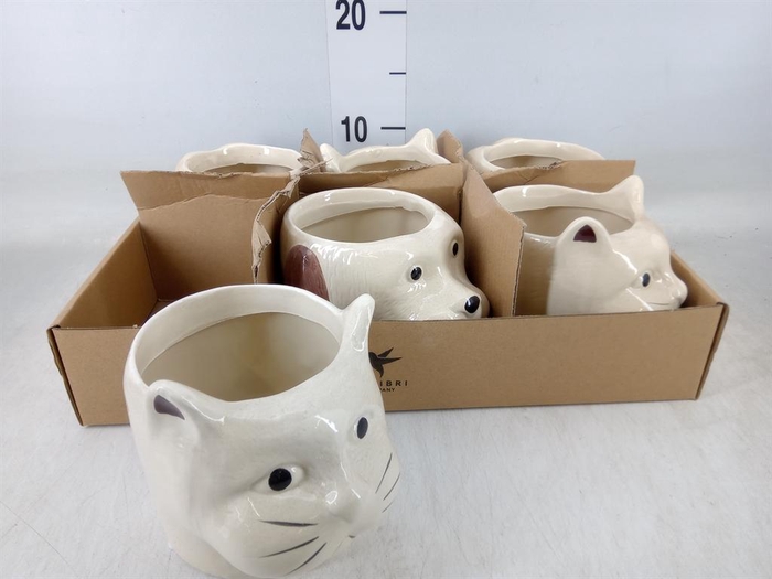 <h4>Pot   ...Keramische H%</h4>