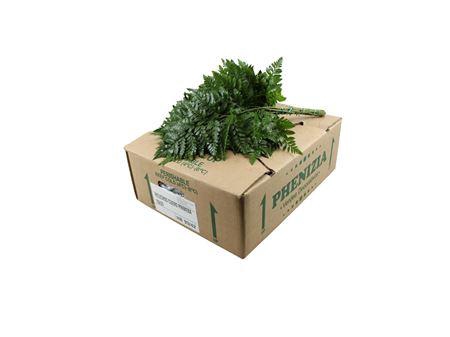 <h4>Leder. Medium</h4>