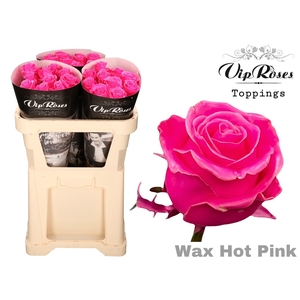 R GR WAX HOT PINK x30 998