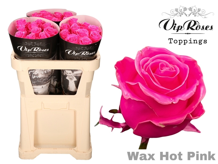<h4>R GR WAX HOT PINK x30 998</h4>