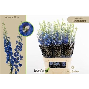 Delph Du Aurora Blue