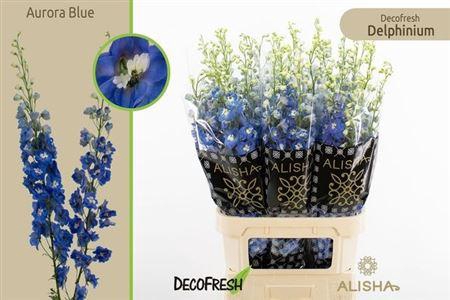 <h4>Delph Du Aurora Blue</h4>