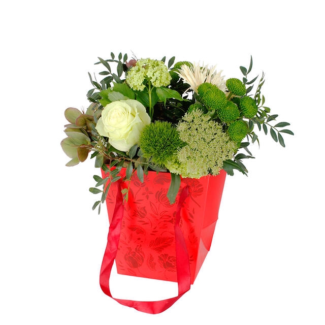 <h4>Bag Floral cardboard 16x12xH18cm red 10/bag</h4>