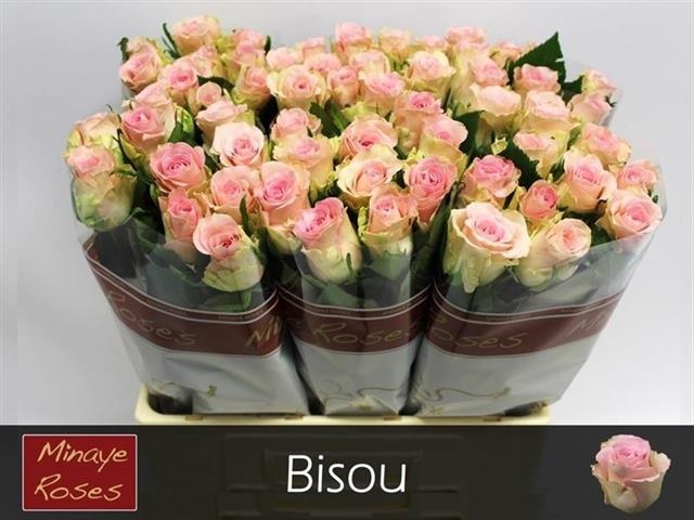 R GR BISOU@