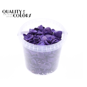 Shells north sea 1 ltr Purple