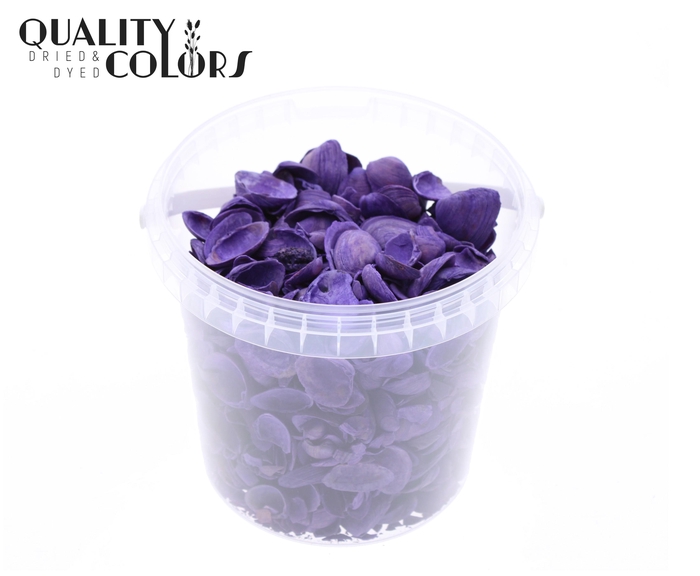 Shells north sea 1 ltr Purple