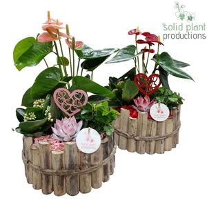 HVAE002 Milano Large Red/Pink Mix