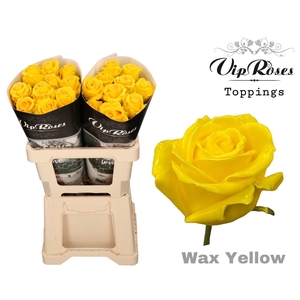 R GR WAX YELLOW (60CM)