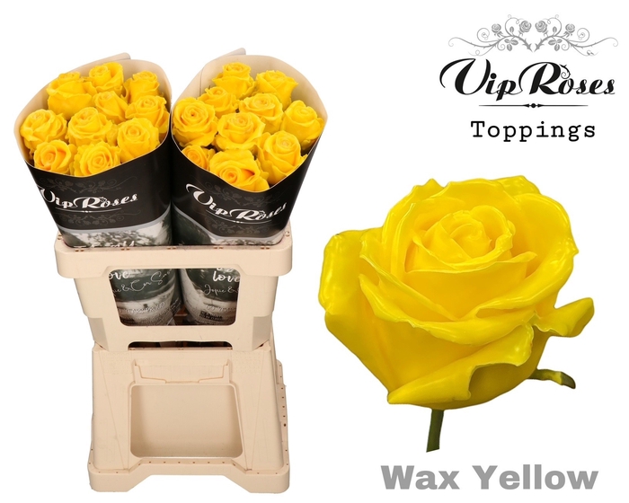 <h4>R Gr Wax Yellow X 20</h4>