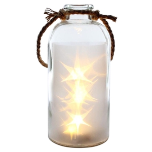 DF12-PT-12906 - Bottle star 11x27,5cm 5led b/o