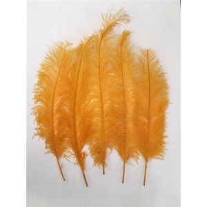 Feather Ostrich 5 Pcs L55