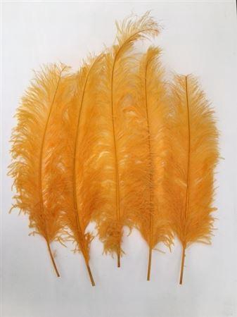 Feather Ostrich 5 Pcs L55