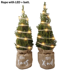 ''Picea conica 'Perfecta' in jute with LED lights deco P19 (Promo W47)