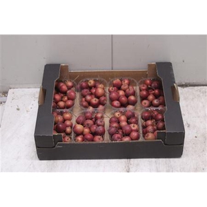 F-malus Ov Rood
