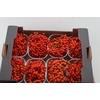 Sier Sorbusbes Mixed X8