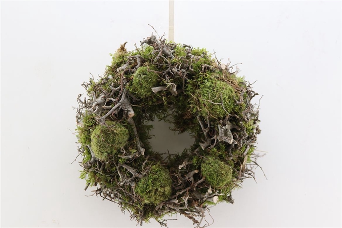 <h4>Wr Mix Bonsai Boll Moss 35cm</h4>