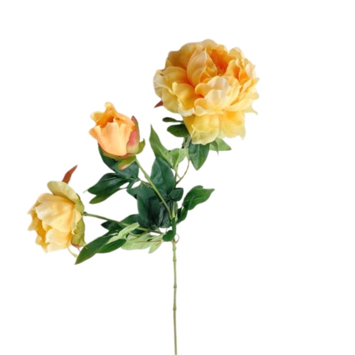 <h4>Paeonia 65cm</h4>