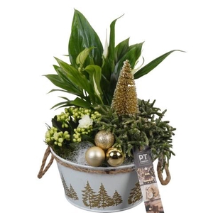 PTCHG5661 Arrangementen Kerst