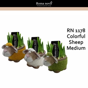 Narcis Rom 1178 Colorful Sheep Medium