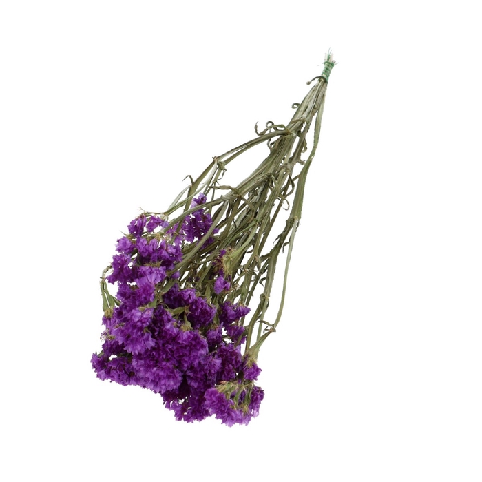 <h4>Dried flowers Limonium statice 70cm</h4>