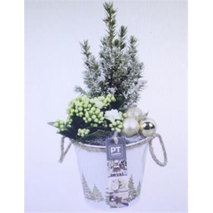 5663 WIT ZINK/GOUD BOOM