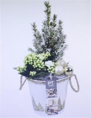 <h4>5663 WIT ZINK/GOUD BOOM</h4>