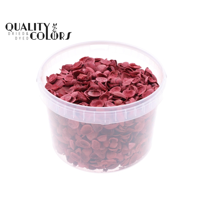 <h4>Shells north sea 3 ltr Red</h4>