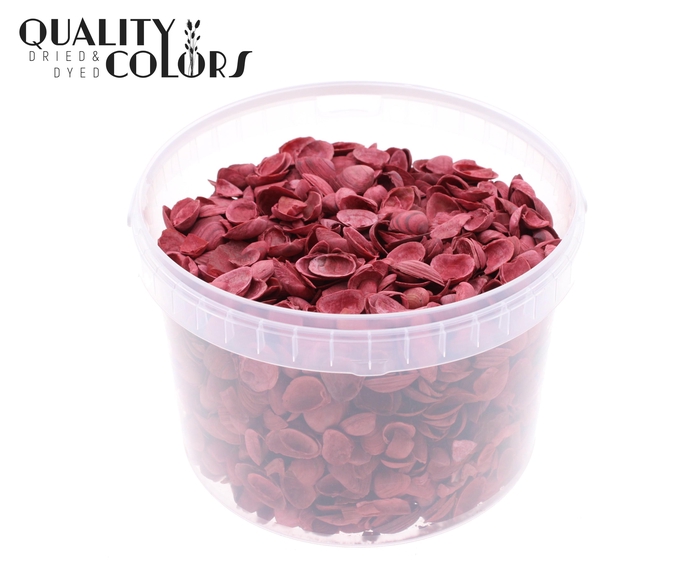 Shells north sea 3 ltr Red