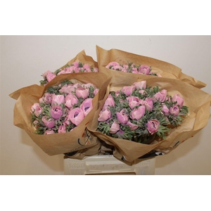 Anem Marianne Powder Pink