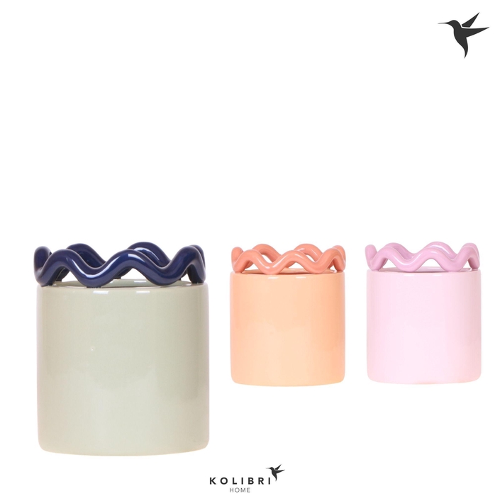 <h4>Kolibri Home Funky pot mix</h4>