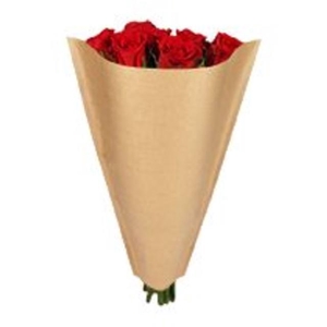 Hoezen Kraft 50*30*10cm x1500